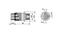 3 PIN Plug - 1028168, 25.036.200.01 - COBO USA